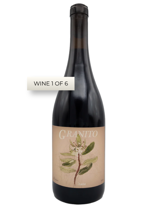 Volcanic Wines