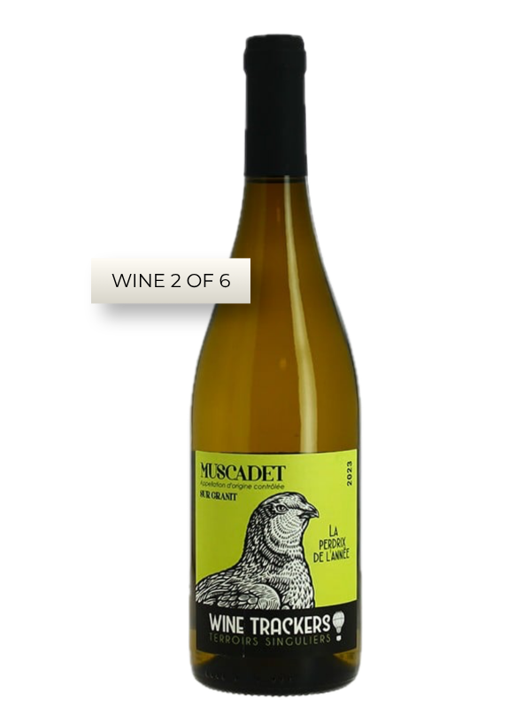 Volcanic Wines