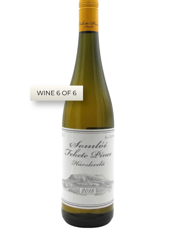 Volcanic Wines