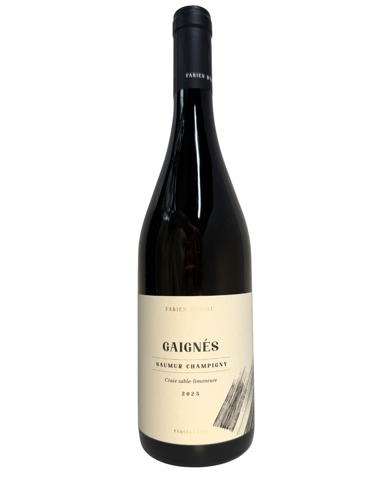 Domaine Fabien Duveau, Saumur-Champigny Gaignés
