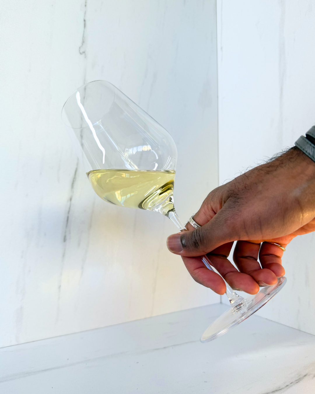 Pomalo Wine Co., Debit Dalmatia (2024)