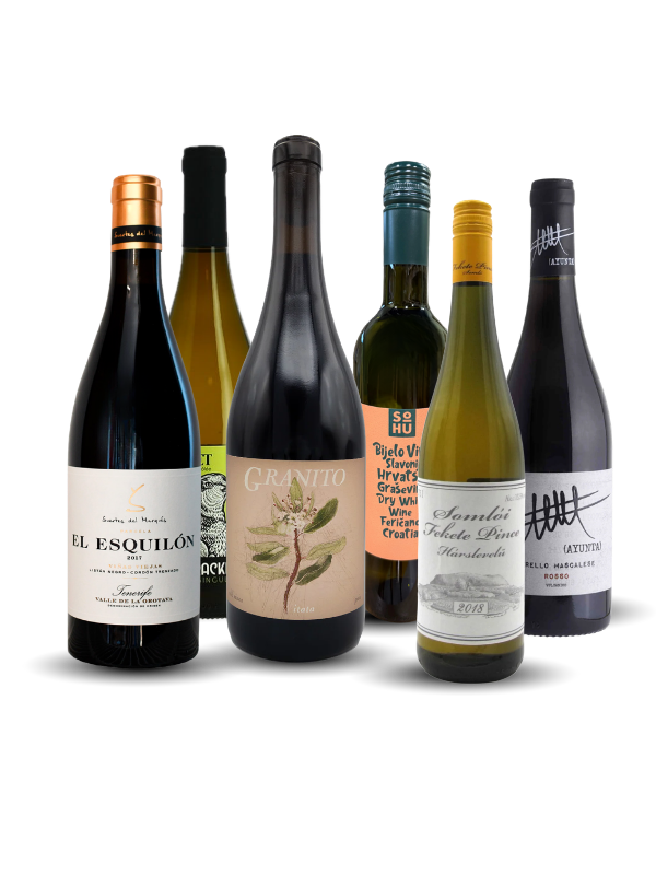 Volcanic Wines