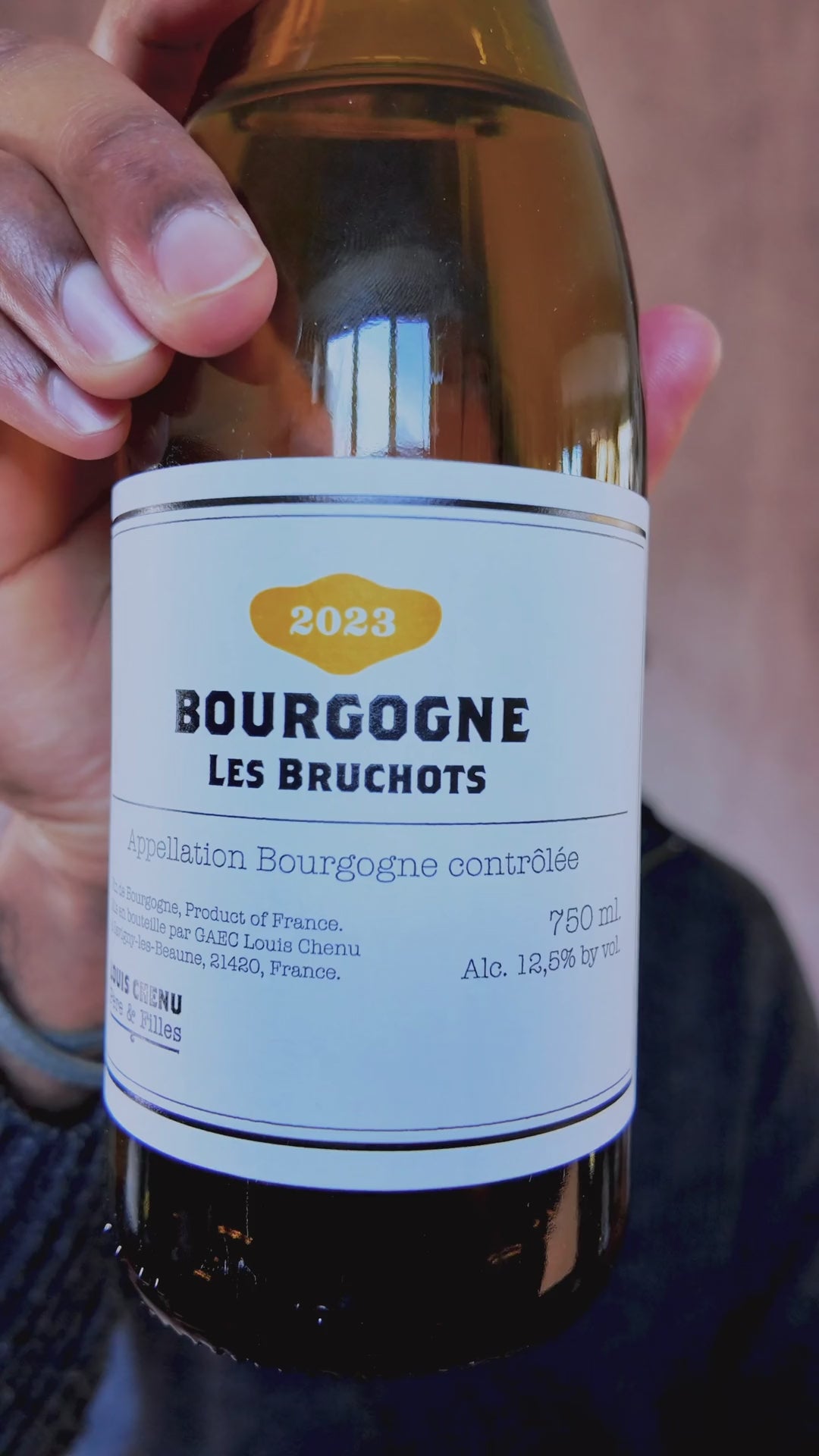 Louis Chenu Père & Filles, Bourgogne Les Bruchots (2023)