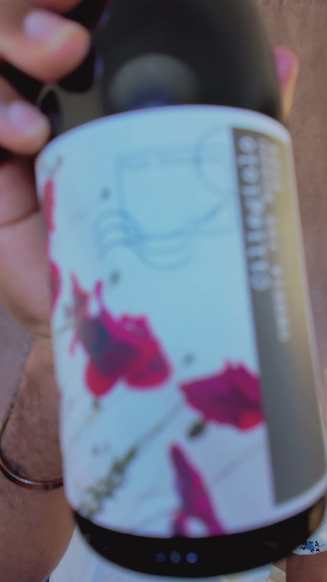 Omero Moretti Umbria Rosso "Terre di Giano"