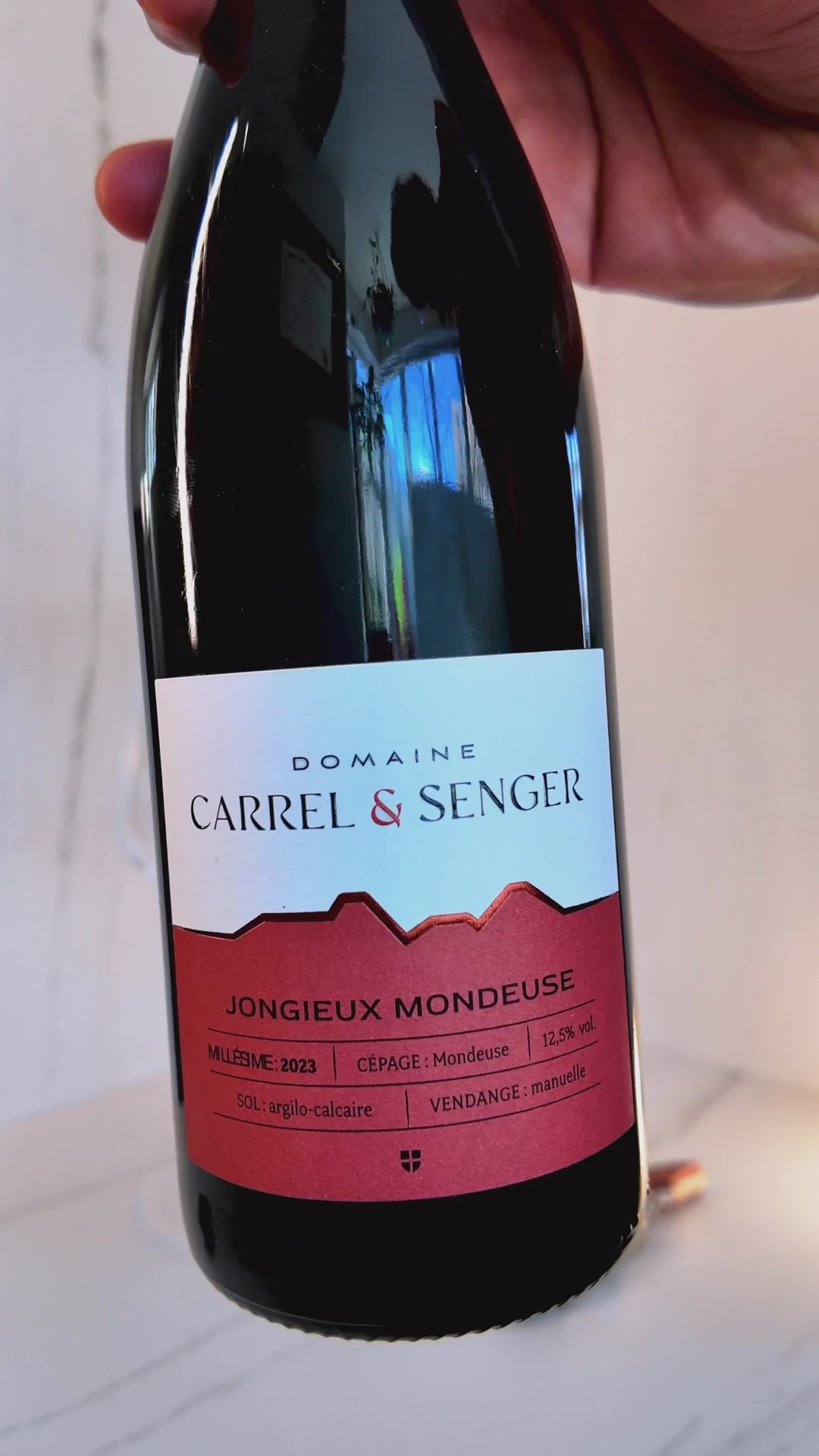 Domaine Carrel & Senger Jongieux Mondeuse