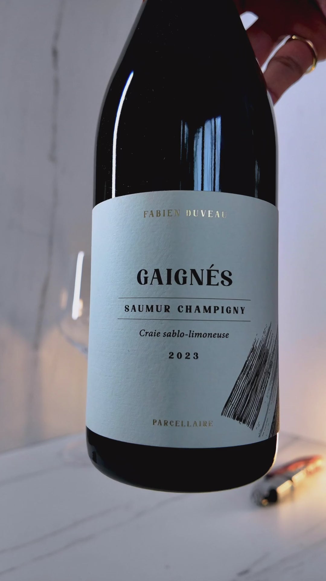 Domaine Fabien Duveau, Saumur-Champigny Gaignés