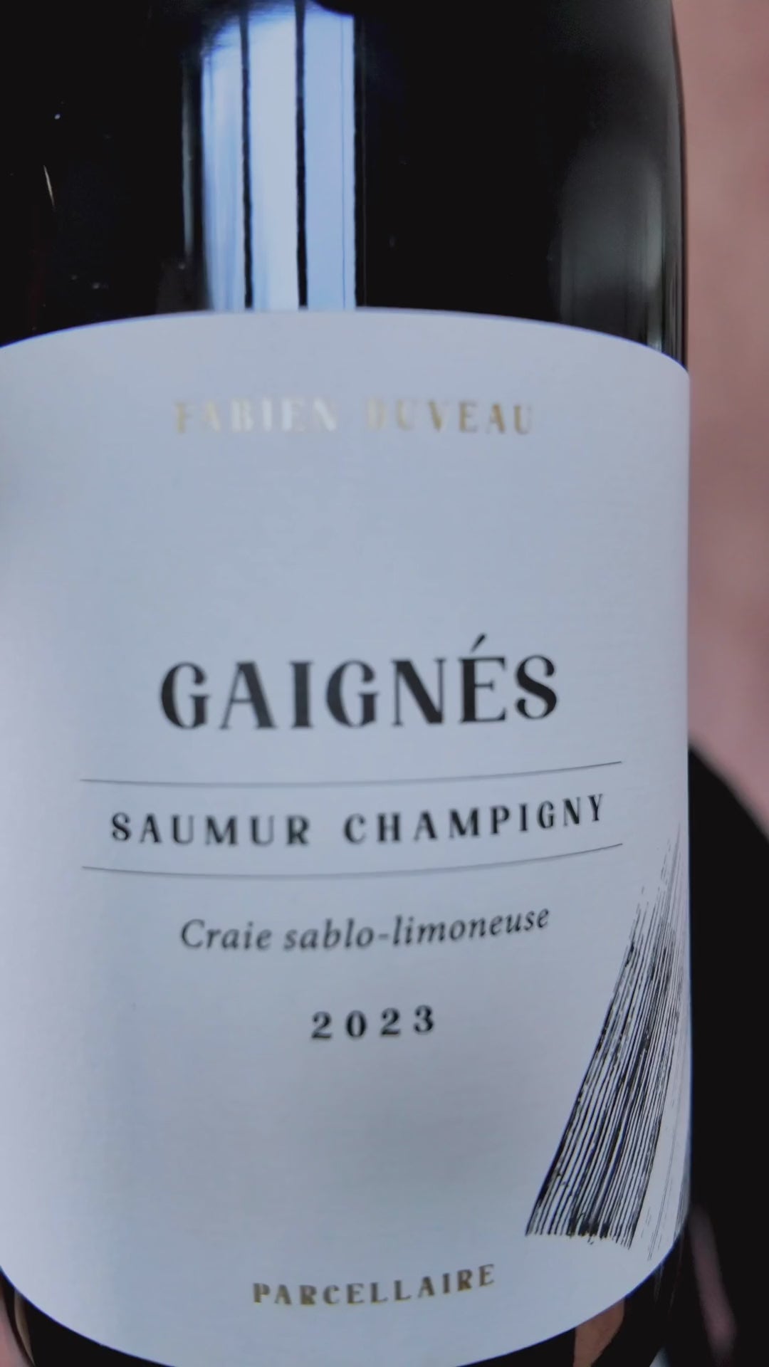 Domaine Fabien Duveau, Saumur-Champigny Gaignés
